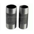 CARBON STEEL THREAD PIPE NIPPLE